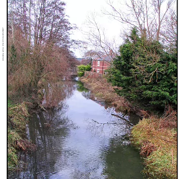 Ringwood, Hampshire, UK Nestled at the edge (now) of the New Forest, Ringwood is my home town in the UK